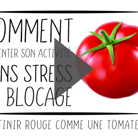 Laure barthelemy-presenter sans stressV2-01 Présenter son activité en public